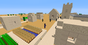 Desert Village