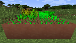 Crops