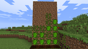 Hops