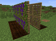 Lattice pair