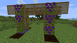 lattice "T"