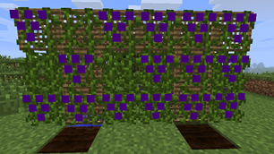 Lattice full