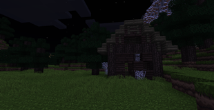 Wrecked House