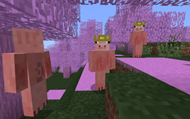 King Pigman