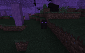 Enderpigs