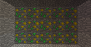 xp