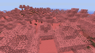 v0.2 Environment