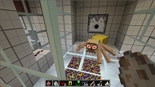 spider