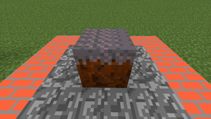 Mycelium