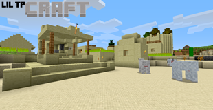 Lil TPCraft - Net Image