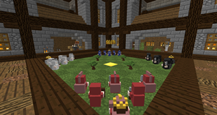 the ingame arena