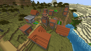 Village