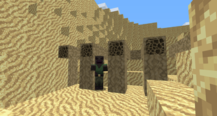 Fossil and Husk