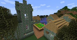 Swamp Village