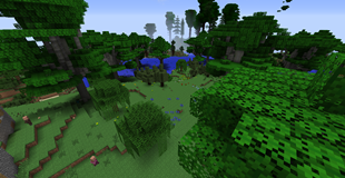 Forest of Alpha Red