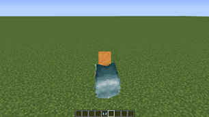 elytra