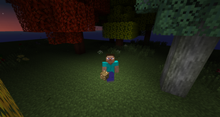 Dynamic lighting