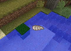 Randomly spawned Algae with Oyster