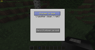 Interface (in Weather Block)