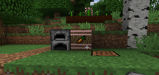 Charity Chest