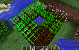 Soil Fertiliser