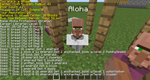 Villager Inventory & Trades