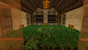Potatoes