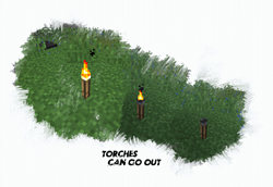 Torches Go out
