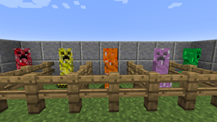 Flower Creepers