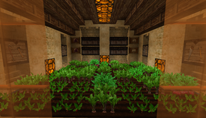 Beetroots