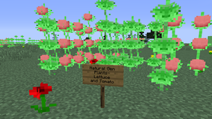 Plants