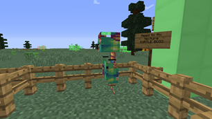 Turtle Boss