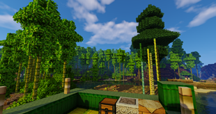 Bamboo Forest