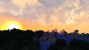 Skies