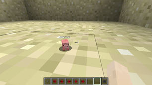 Tiny pig