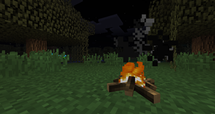 Campfire