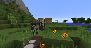 Cow crossing