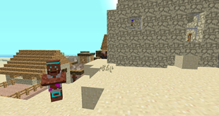 Desert Village