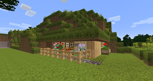 A Hobbit Hole