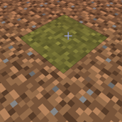 Grass
