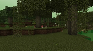 Plants & Foliage