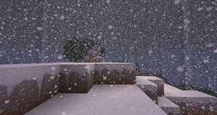 Weathering the Storm.