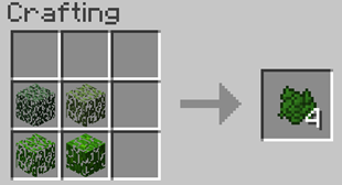 Crafting Camo