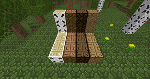 Colored Logs