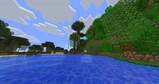 Jungle/Swamp