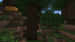 Dark Oak Forest