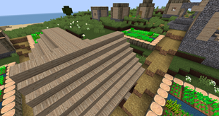 Village