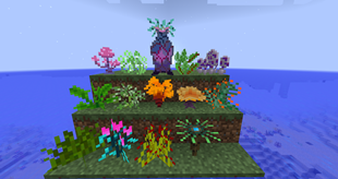 Minenautica Land Plants
