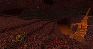 The Nether