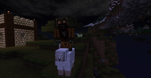 Sheep Rider